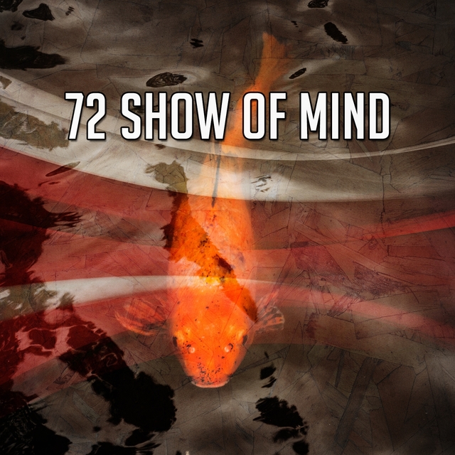 Couverture de 72 Show of Mind