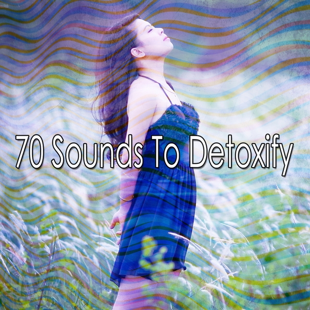 Couverture de 70 Sounds to Detoxify