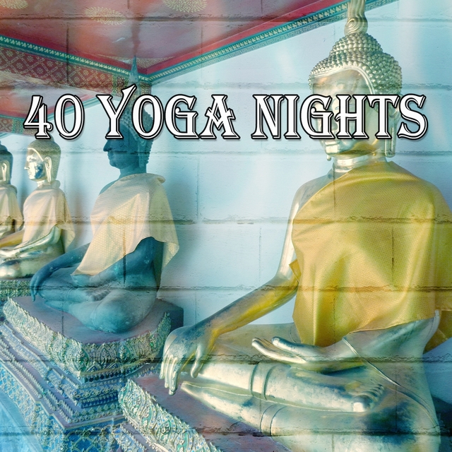 Couverture de 40 Yoga Nights