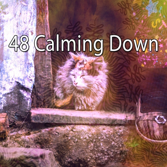 48 Calming Down