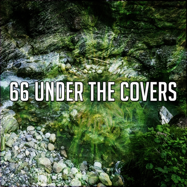 66 Under the Covers