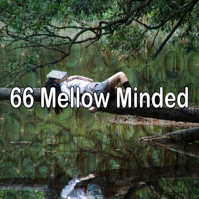 Couverture de 66 Mellow Minded