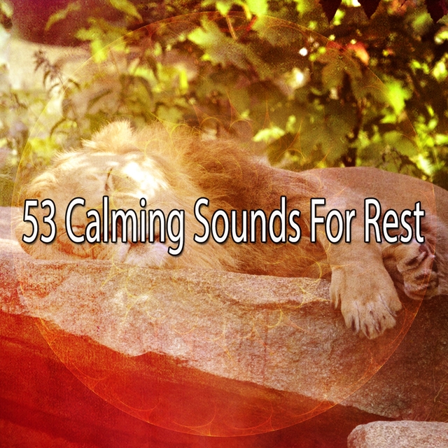 Couverture de 53 Calming Sounds for Rest