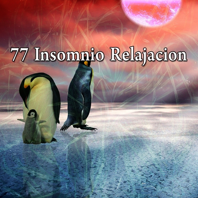 Couverture de 77 Insomnio Relajacion