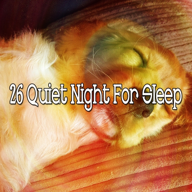 Couverture de 26 Quiet Night for Sle - EP