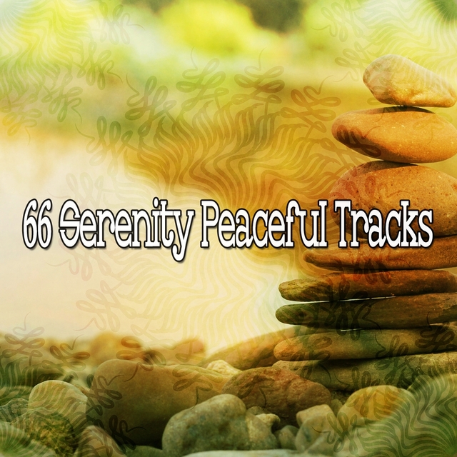 Couverture de 66 Serenity Peaceful Tracks