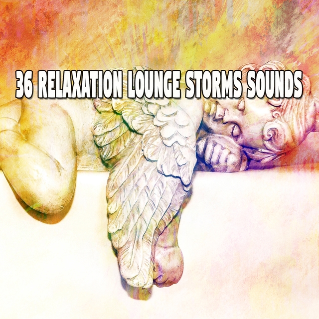 Couverture de 36 Relaxation Lounge Storms Sounds