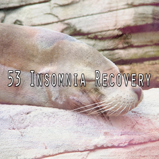 53 Insomnia Recovery