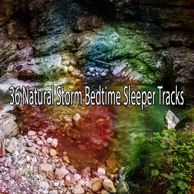 Couverture de 36 Natural Storm Bedtime Sleeper Tracks
