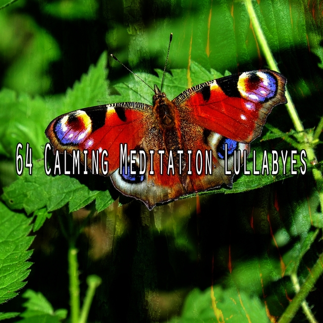 64 Calming Meditation Lullabyes