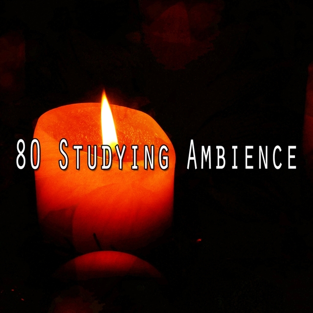 Couverture de 80 Studying Ambience