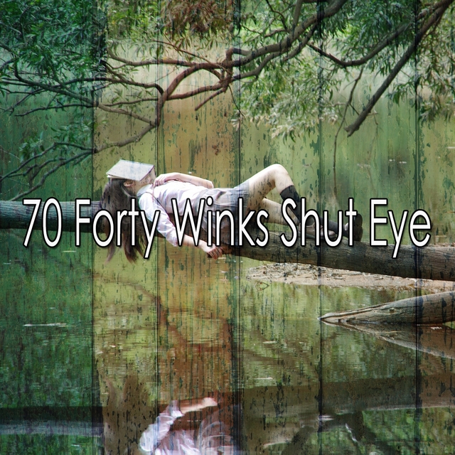 70 Forty Winks Shut Eye