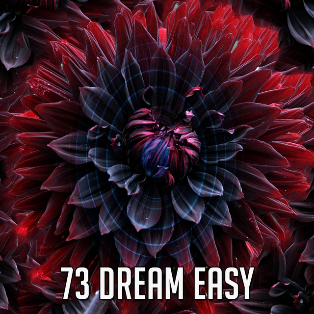 Couverture de 73 Dream Easy