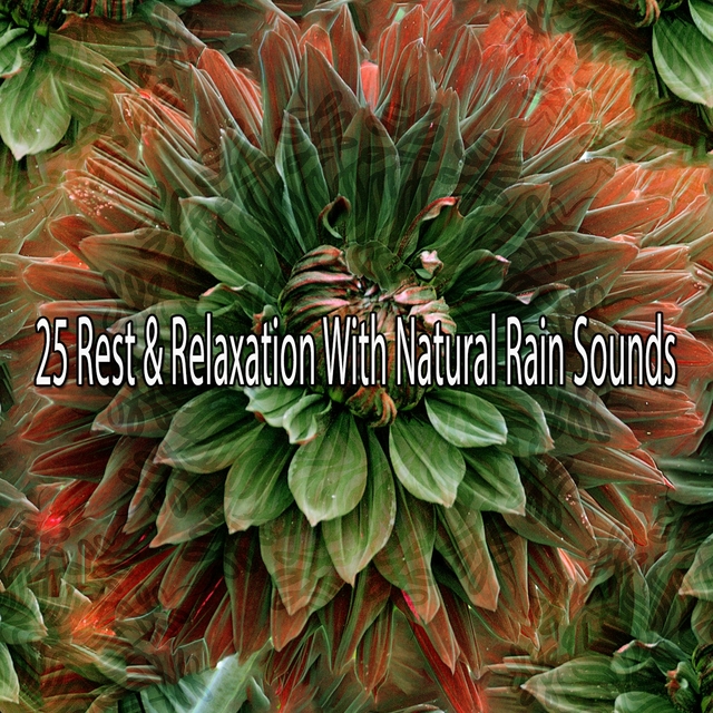 25 Rest & Relaxation with Natural Rain Sounds