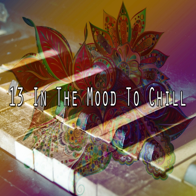 Couverture de 13 In the Mood to Chill
