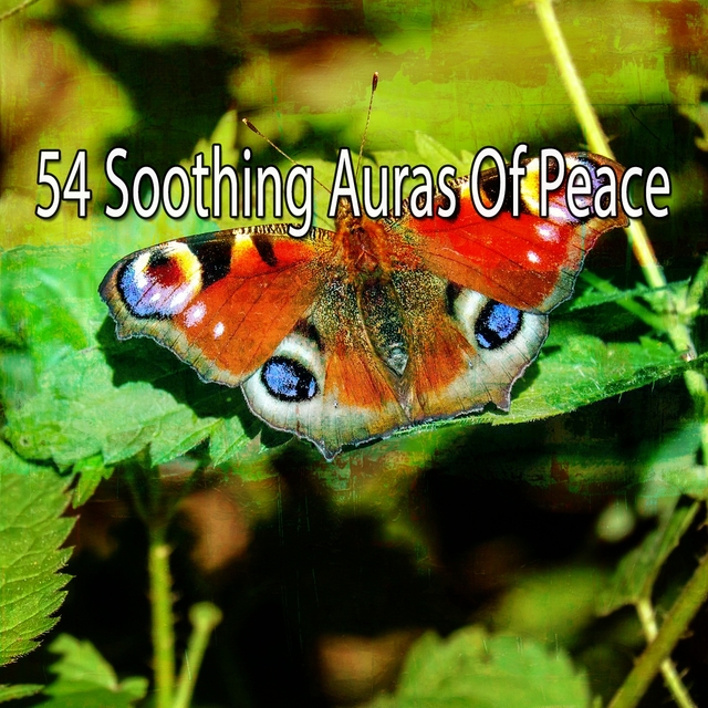 54 Soothing Auras of Peace