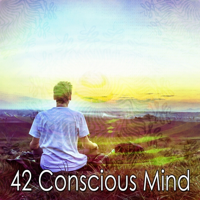 Couverture de 42 Conscious Mind