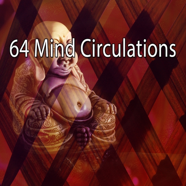 64 Mind Circulations