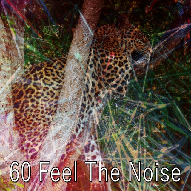 Couverture de 60 Feel the Noise