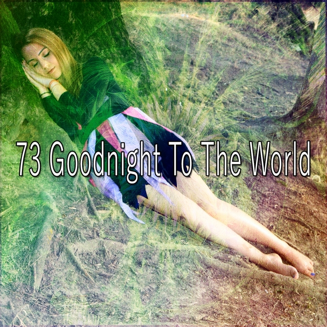 Couverture de 73 Goodnight to the World