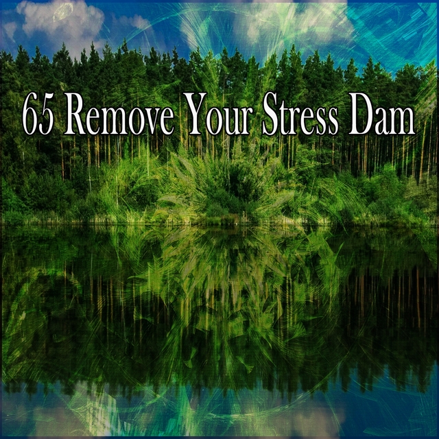 Couverture de 65 Remove Your Stress Dam