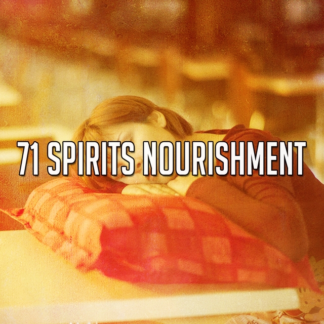 Couverture de 71 Spirits Nourishment