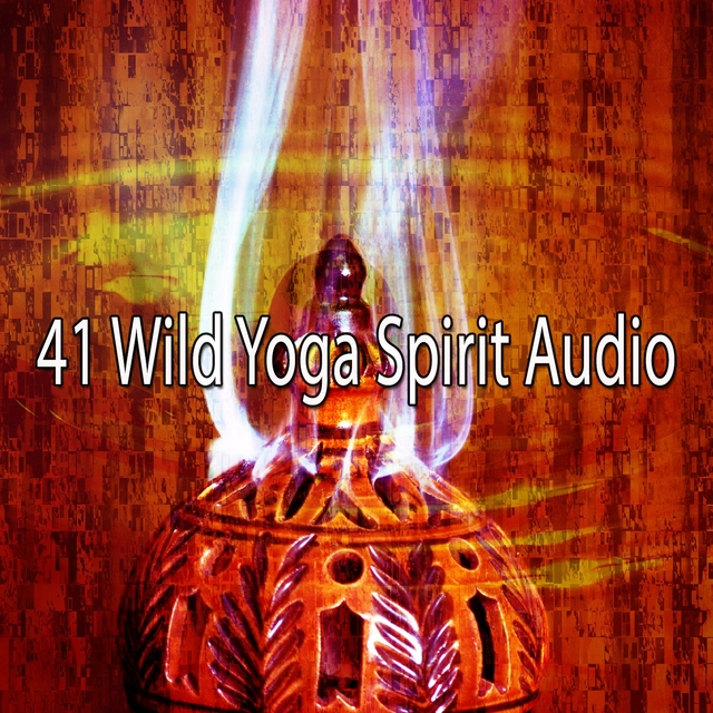 Couverture de 41 Wild Yoga Spirit Audio