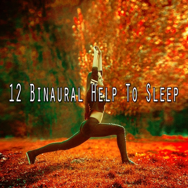 Couverture de 12 Binaural Help to Sle - EP