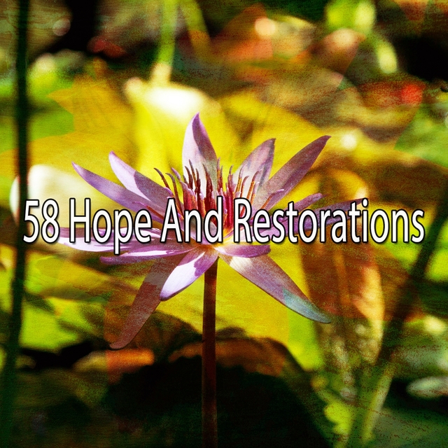 58 Hope and Restorations