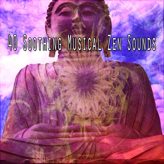 Couverture de 40 Soothing Musical Zen Sounds