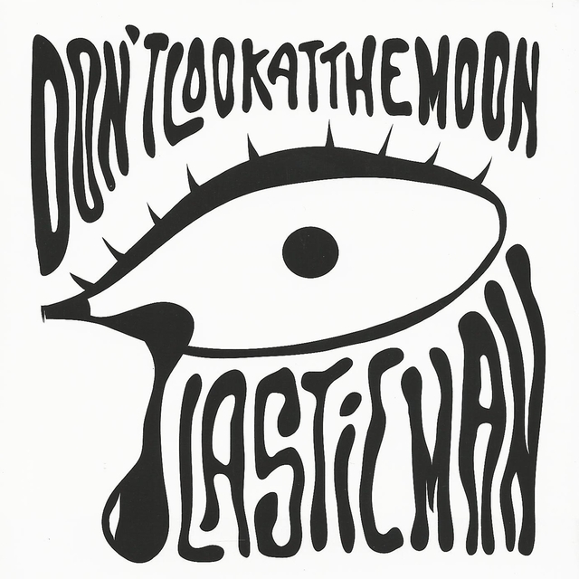 Couverture de Don't Look At the Moon