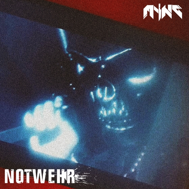 Couverture de Notwehr