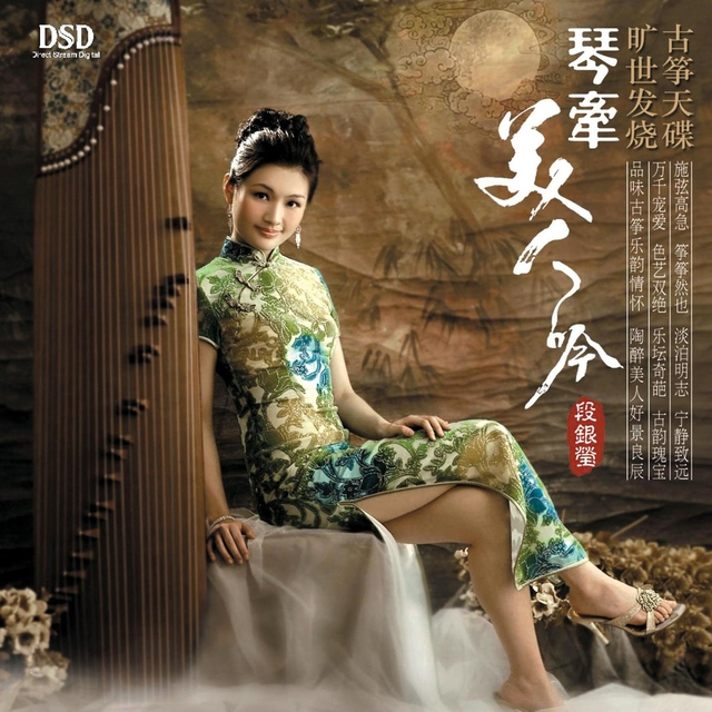 Couverture de 琴牵美人吟