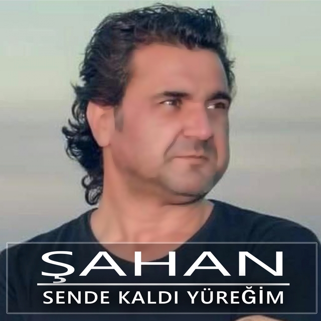 Couverture de Sende Kaldı Yüreğim