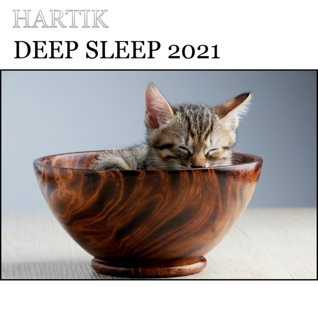 Deep Sleep 2021