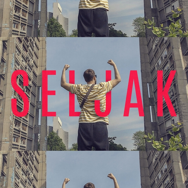 Couverture de Seljak