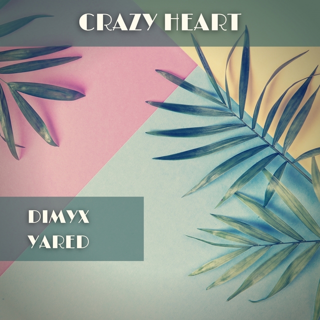 Couverture de Crazy Heart