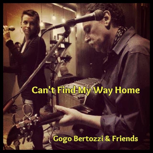 Couverture de Can't Find My Way Home