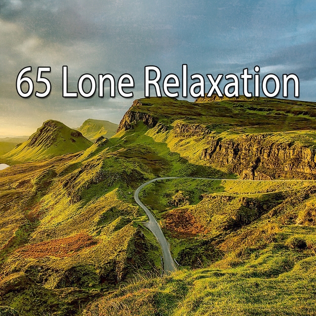 Couverture de 65 Lone Relaxation