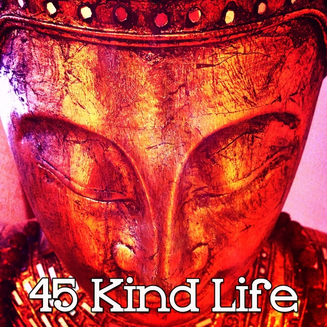 45 Kind Life