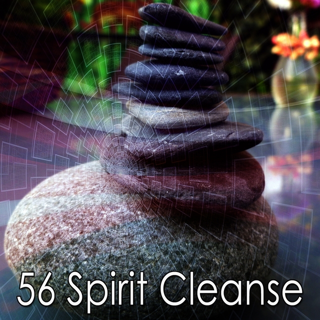 Couverture de 56 Spirit Cleanse