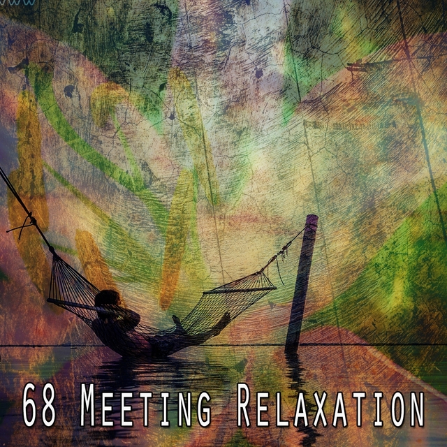 Couverture de 68 Meeting Relaxation