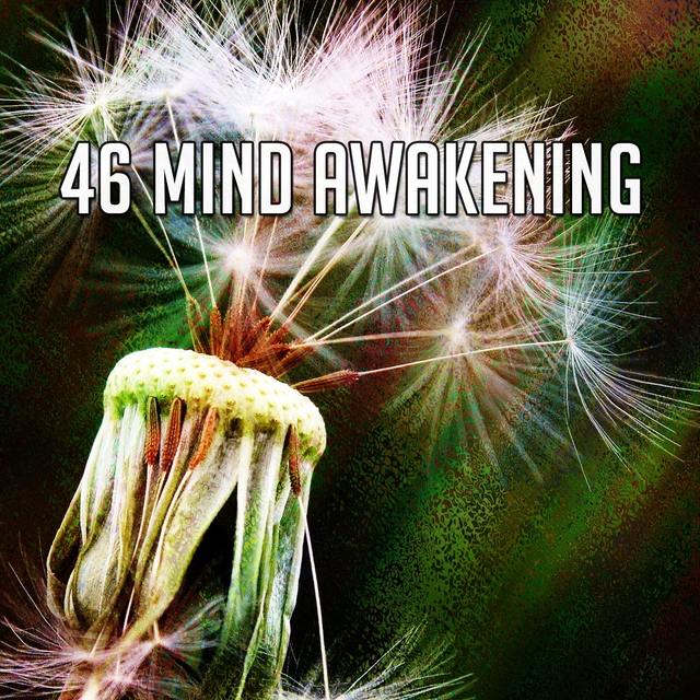 46 Mind Awakening