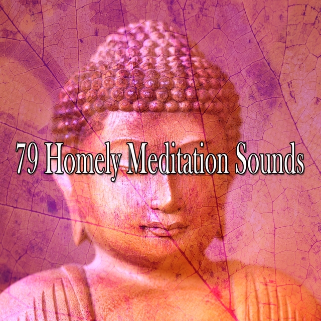 Couverture de 79 Homely Meditation Sounds