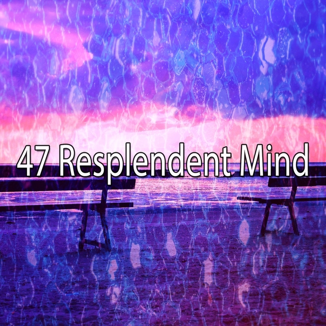 47 Resplendent Mind