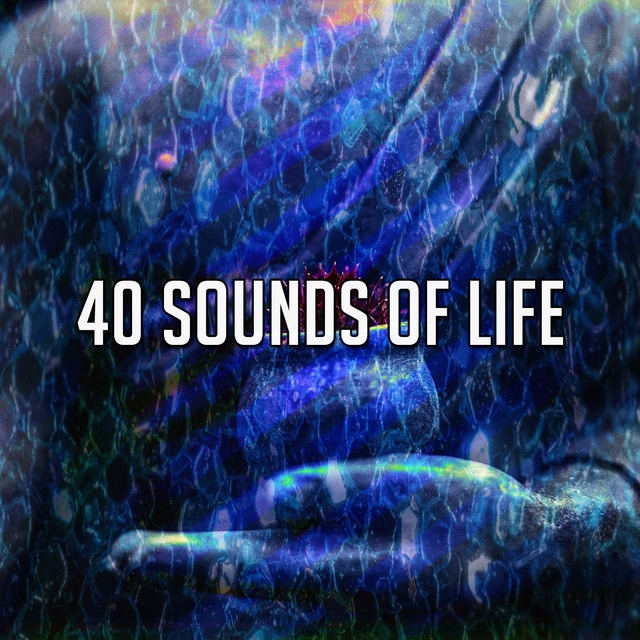 40 Sounds of Life