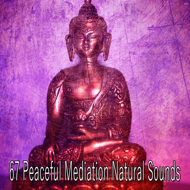 67 Peaceful Mediation Natural Sounds