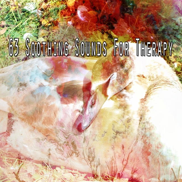 Couverture de 63 Soothing Sounds for Therapy