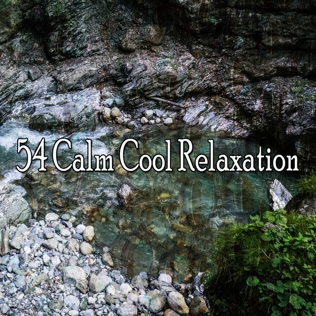 Couverture de 54 Calm Cool Relaxation