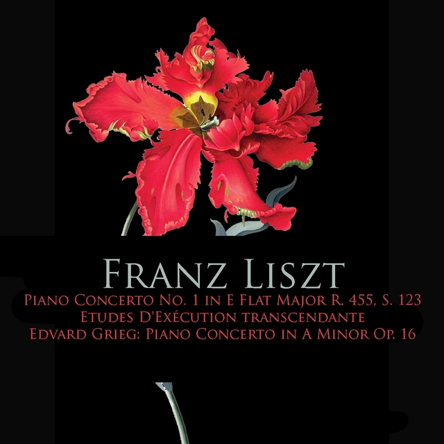 Couverture de Franz Liszt: Piano Concerto No. 1 in E Flat Major, Etudes d'execution transcendante - Edvard Grieg: Piano Concerto In A Minor Op. 16